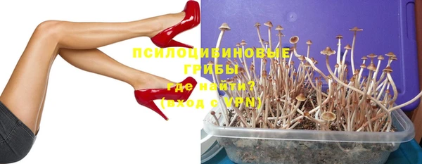 PSILOCYBIN Гусев