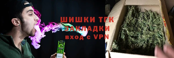 прущие грибы Гусиноозёрск