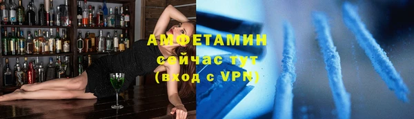 прущие грибы Гусиноозёрск