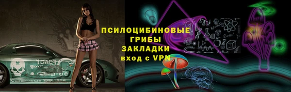 прущие грибы Гусиноозёрск