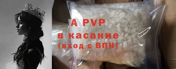 прущие грибы Струнино