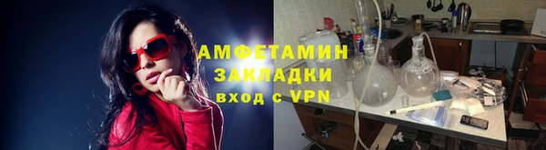 прущие грибы Гусиноозёрск