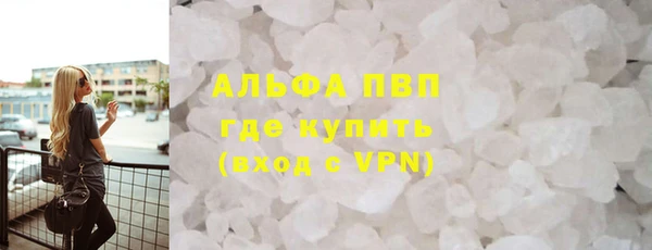 прущие грибы Гусиноозёрск