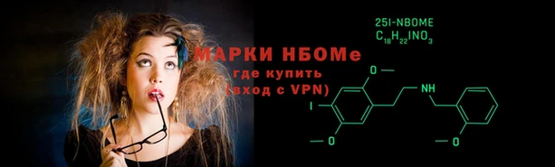 прущие грибы Гусиноозёрск
