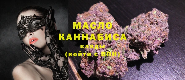 прущие грибы Гусиноозёрск