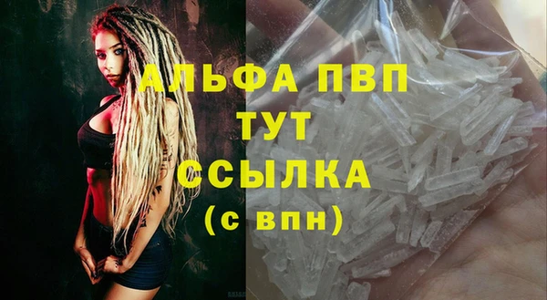 PSILOCYBIN Гусев