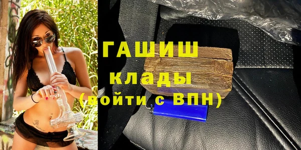 прущие грибы Гусиноозёрск
