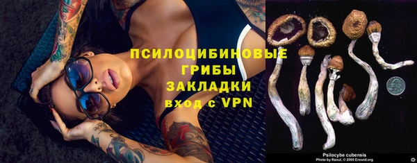MDMA Гусь-Хрустальный