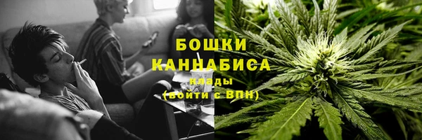 прущие грибы Гусиноозёрск